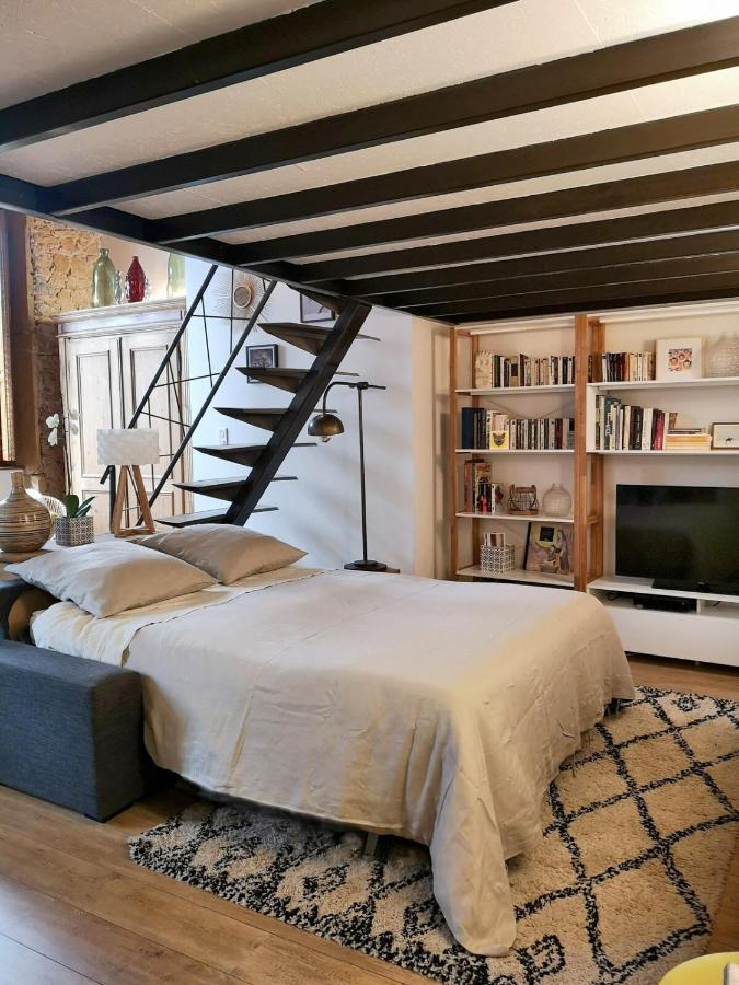 Appartamento Authentic Loft With Mezzanine & Exposed Stones Heart Of Lione Esterno foto